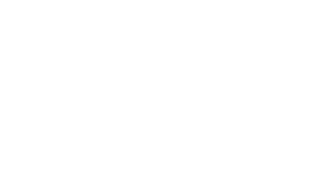 logo white for header